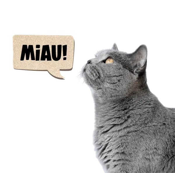 Gato escuchando con atención