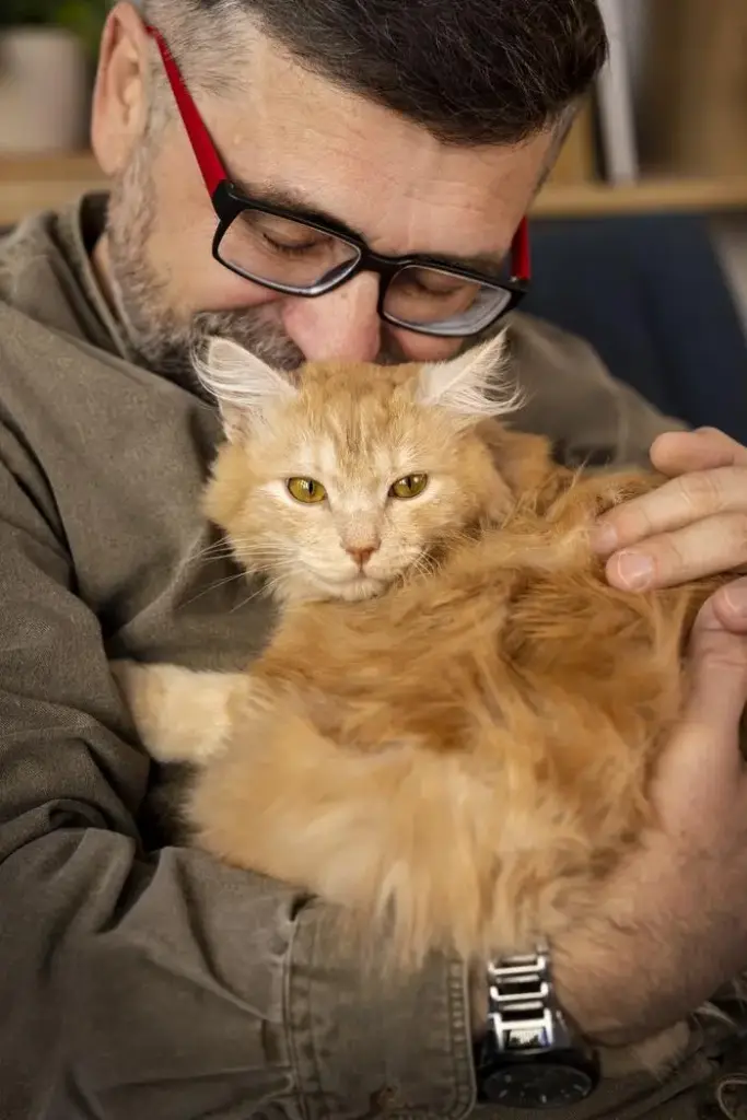 Gato atendido en la consulta de Bigotitos La Cala