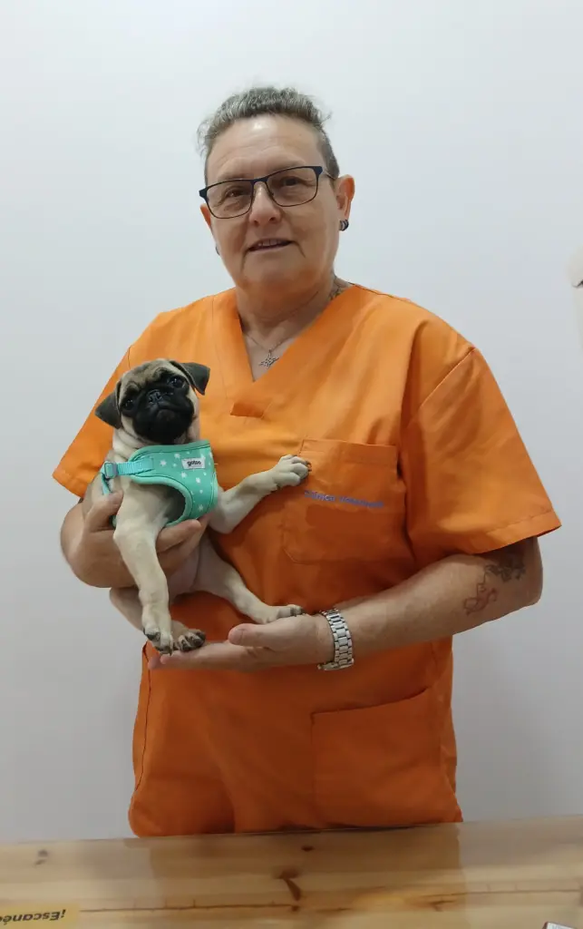 Equipo humano de Bigotitos La Cala
